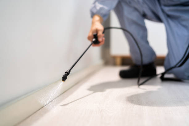 Licensed Termite Control service in Dunnavant, AL - Nex Pest Control