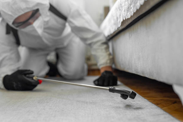 Professional Termite Control technician working in Dunnavant, AL