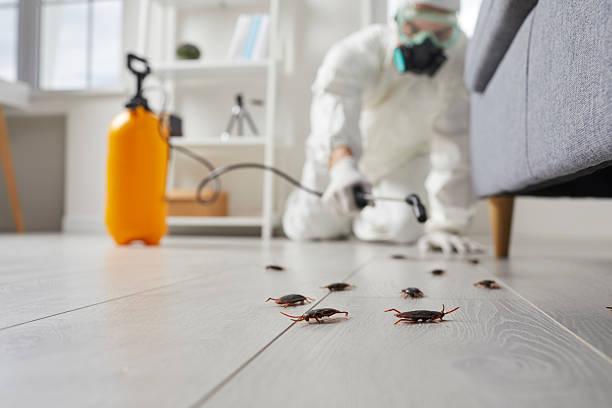 Trusted Cockroach Control service in Dunnavant, AL - Nex Pest Control