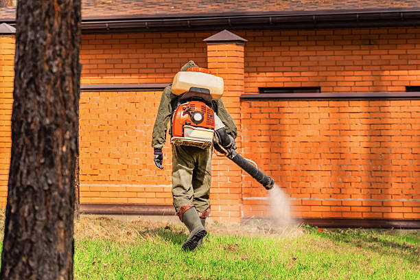Trusted Termite Control service in Dunnavant, AL - Nex Pest Control